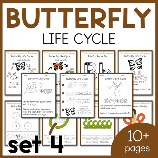 Butterfly Life Cycle Printable