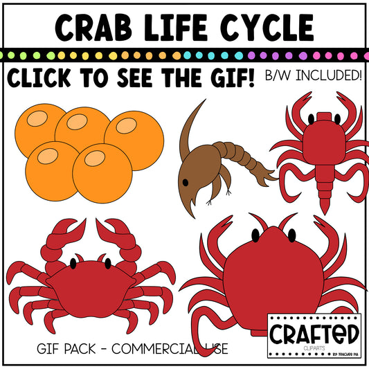 Simple Crab Life Cycle GIF Pack