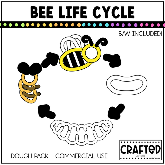 Simple Bee Life Cycle Playdough Pack