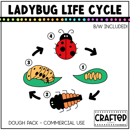 Simple Ladybug Life Cycle Playdough Pack
