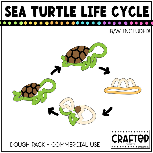 Simple Sea Turtle Life Cycle Playdough Pack