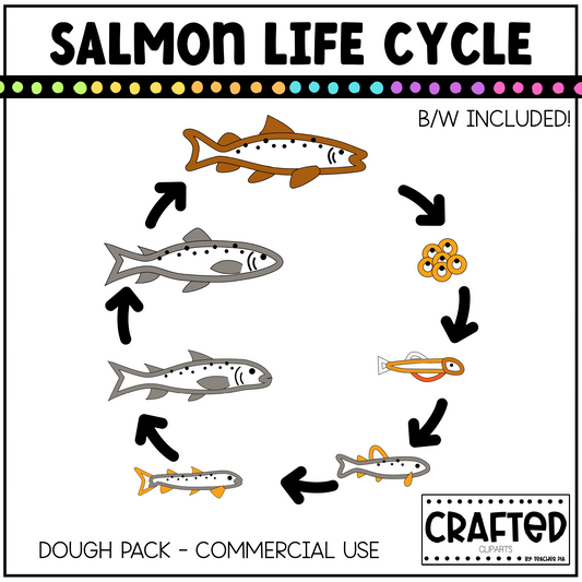 Simple Salmon Life Cycle Playdough Pack