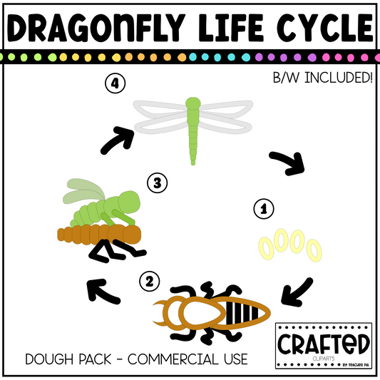 Simple Dragonfly Life Cycle Playdough Pack