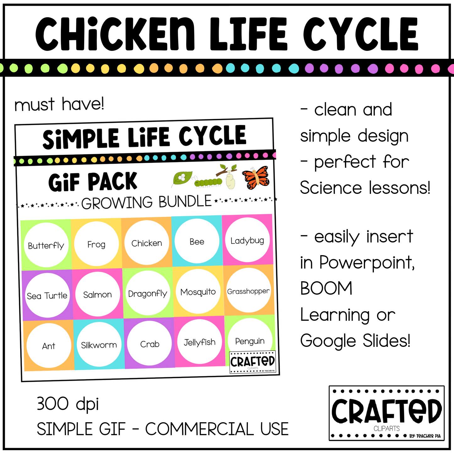 Simple Chicken Life Cycle GIF Pack