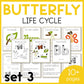 Butterfly Life Cycle Printable