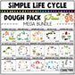 Simple Life Cycle Clipart Playdough Pack Science MEGA Bundle