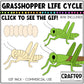 Simple Life Cycle Clipart GIF Pack Science MEGA Bundle