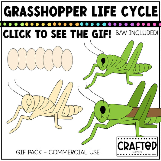 Simple Grasshopper Life Cycle GIF Pack