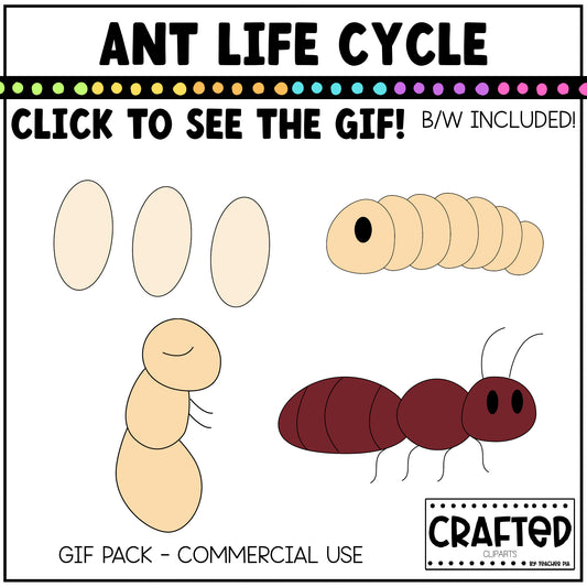 Simple Ant Life Cycle GIF Pack