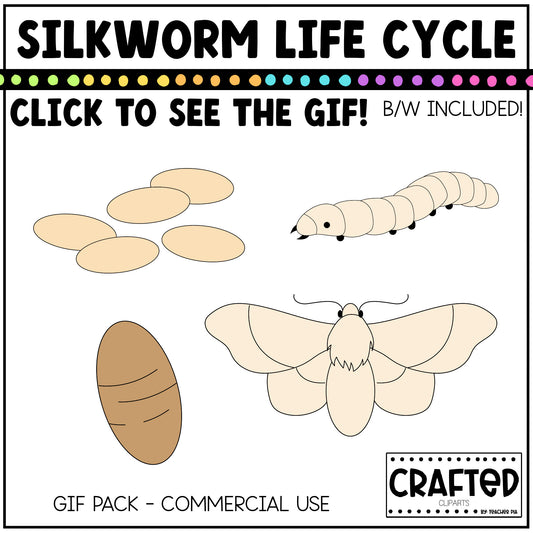 Simple Silkworm Life Cycle GIF Pack