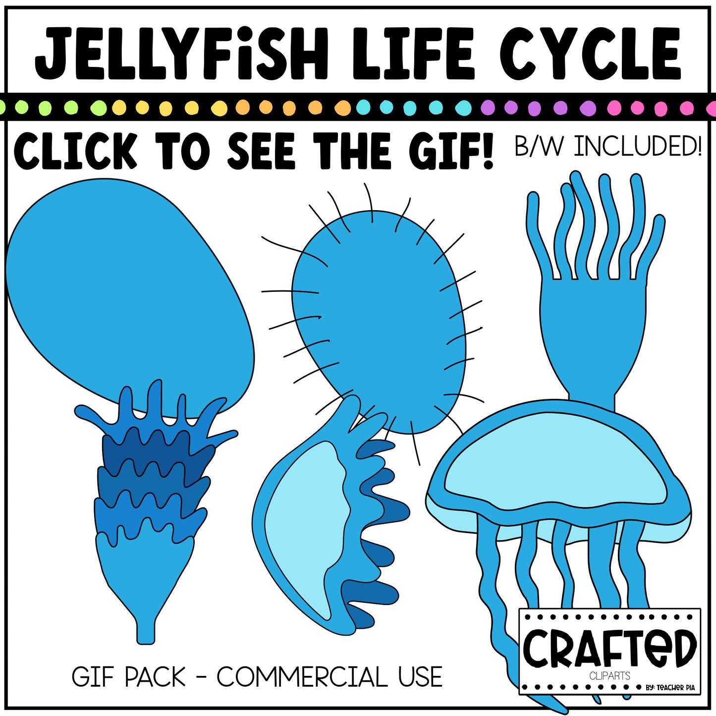 Simple Jellyfish Life Cycle GIF Pack