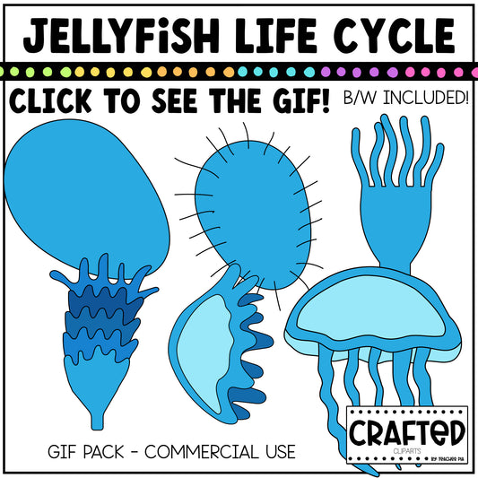 Simple Jellyfish Life Cycle GIF Pack