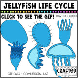 Simple Jellyfish Life Cycle GIF Pack