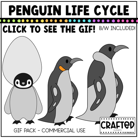Simple Penguin Life Cycle GIF Pack