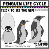 Simple Penguin Life Cycle GIF Pack