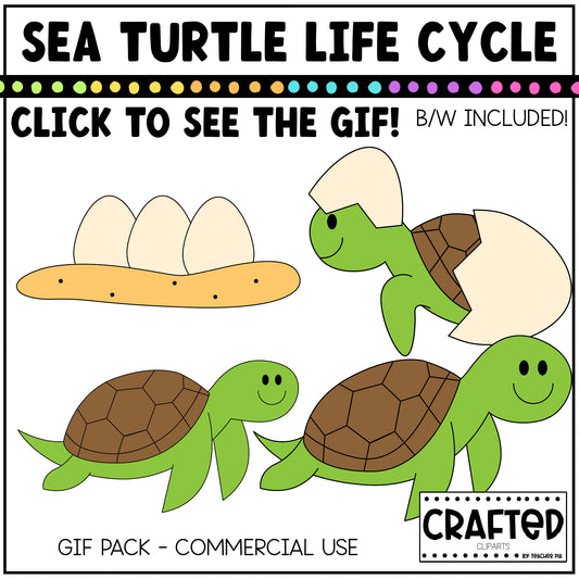 Simple Sea Turtle Life Cycle GIF Pack