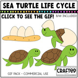 Simple Sea Turtle Life Cycle GIF Pack