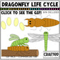 Simple Life Cycle Clipart GIF Pack Science MEGA Bundle