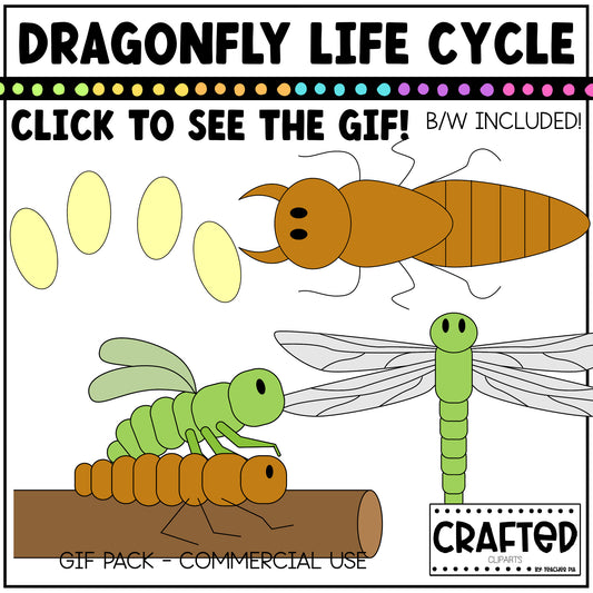 Simple Dragonfly Life Cycle GIF Pack