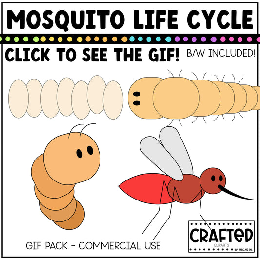 Simple Mosquito Life Cycle GIF Pack