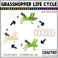 Simple Life Cycle Clipart Playdough Pack Science MEGA Bundle