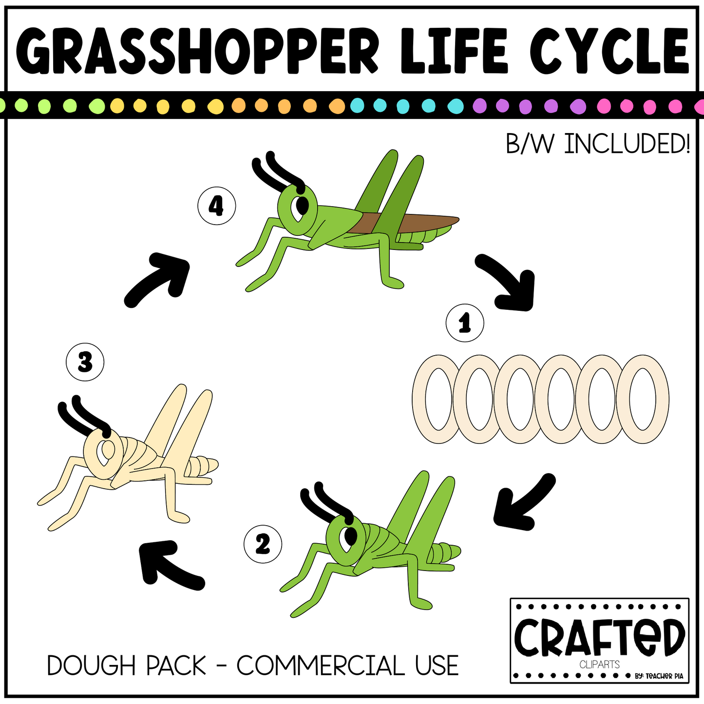 Simple Life Cycle Clipart Playdough Pack Science MEGA Bundle