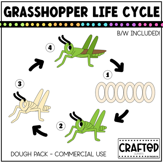 Simple Grasshopper Life Cycle Playdough Pack