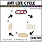 Simple Life Cycle Clipart Playdough Pack Science MEGA Bundle