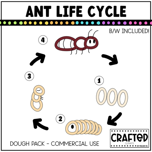 Simple Ant Life Cycle Playdough Pack