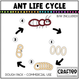 Simple Ant Life Cycle Playdough Pack