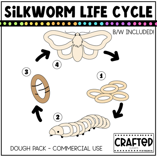 Simple Silkworm Life Cycle Playdough Pack