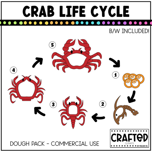 Simple Crab Life Cycle Clipart Pack