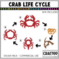 Simple Life Cycle Clipart Playdough Pack Science MEGA Bundle