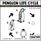 Simple Life Cycle Clipart Playdough Pack Science MEGA Bundle