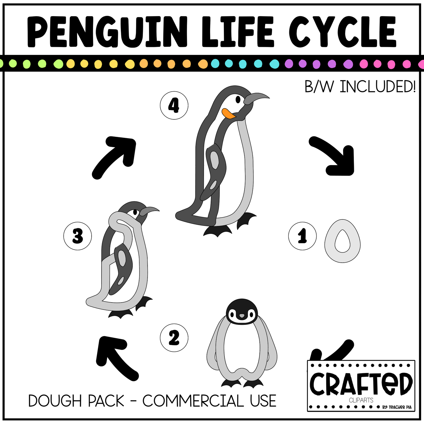 Simple Life Cycle Clipart Playdough Pack Science MEGA Bundle