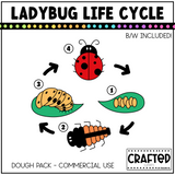 Simple Ladybug Life Cycle Playdough Pack