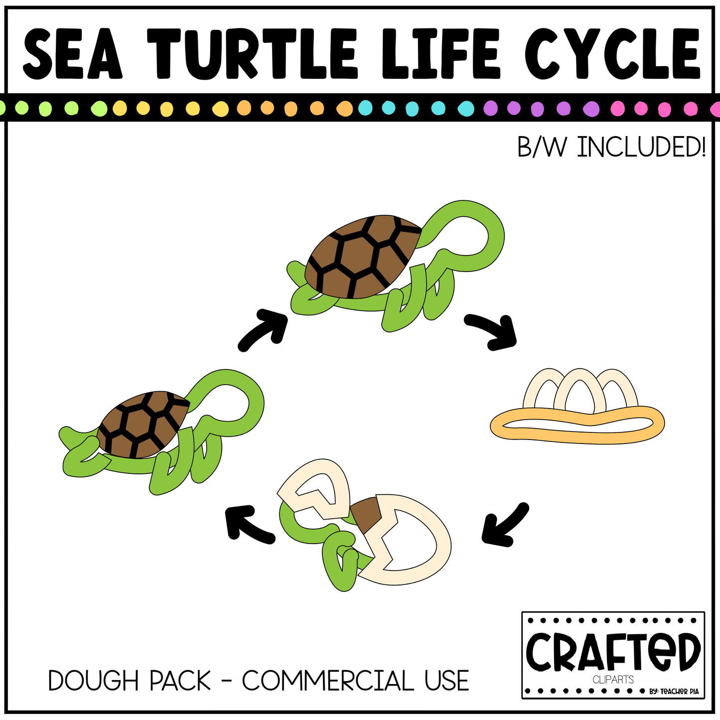 Simple Sea Turtle Life Cycle Playdough Pack