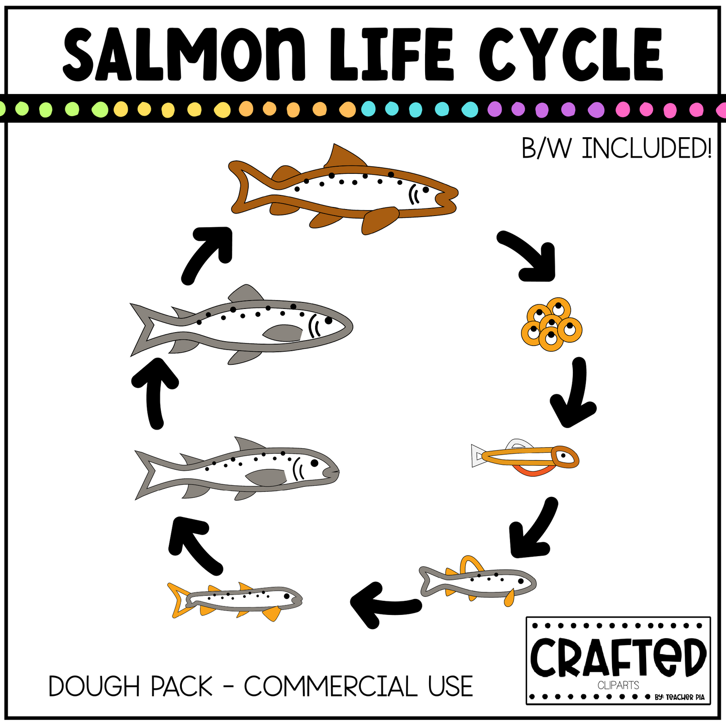 Simple Salmon Life Cycle Playdough Pack