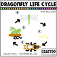 Simple Life Cycle Clipart Playdough Pack Science MEGA Bundle
