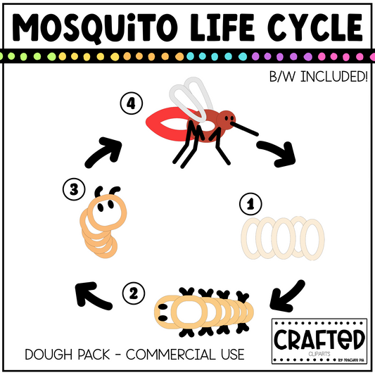 Simple Mosquito Life Cycle Playdough Pack