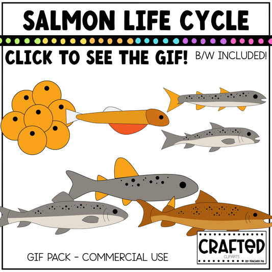 Simple Salmon Life Cycle GIF Pack