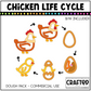 Simple Chicken Life Cycle Playdough Pack
