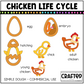 Simple Chicken Life Cycle Playdough Pack