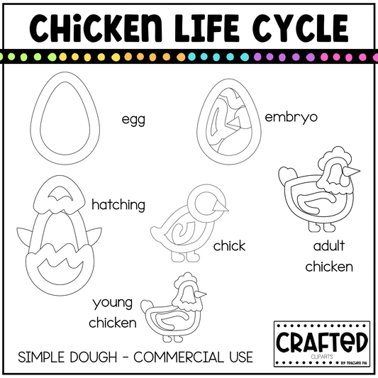 Simple Chicken Life Cycle Playdough Pack