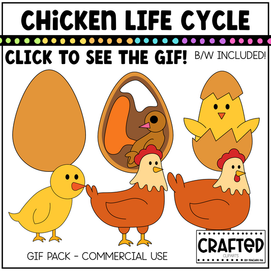 Simple Chicken Life Cycle GIF Pack