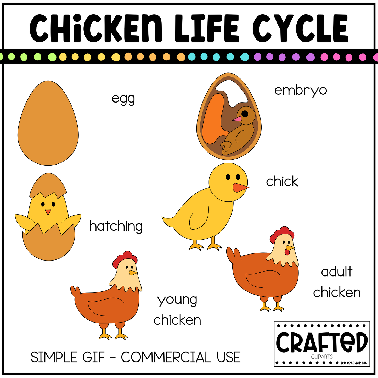 Simple Chicken Life Cycle GIF Pack
