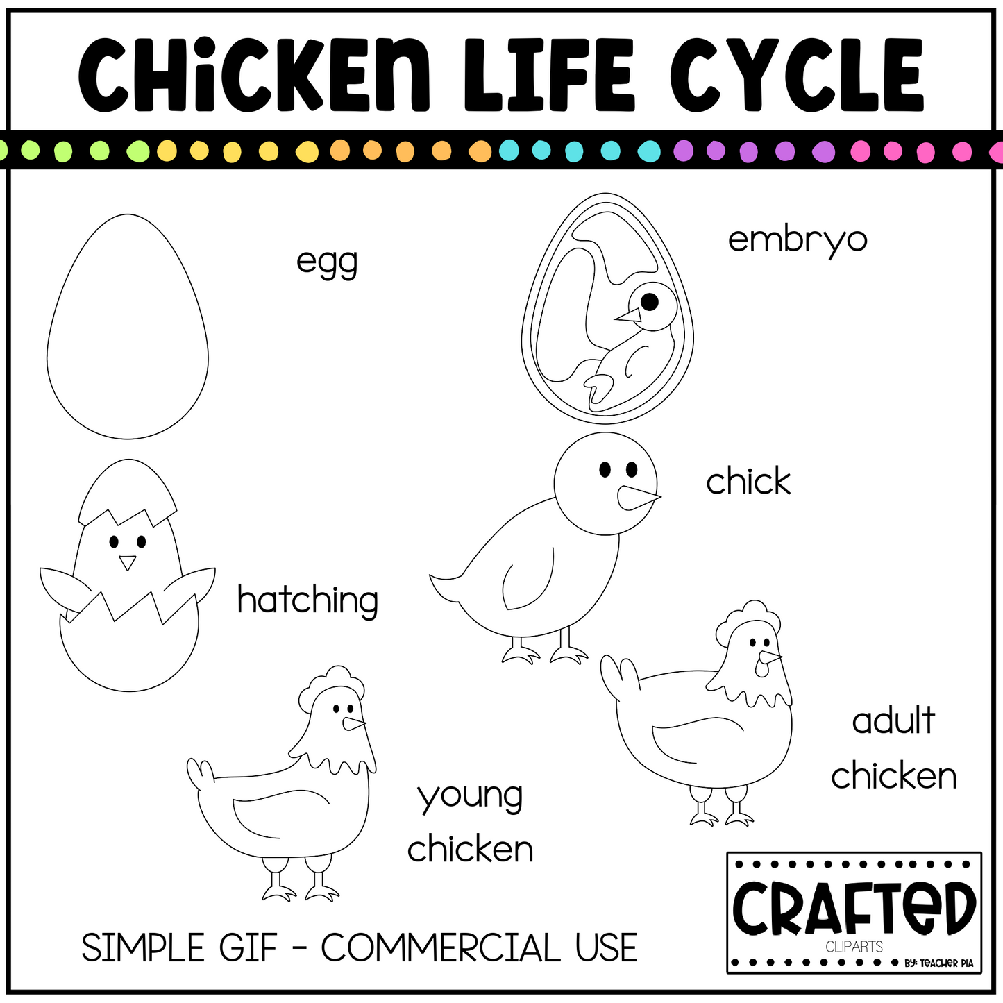 Simple Chicken Life Cycle GIF Pack