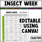 Editable Insect Week Activities and Planner Toddler Canva Template 2-4yo