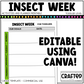 Editable Insect Week Activities and Planner Toddler Canva Template 2-4yo
